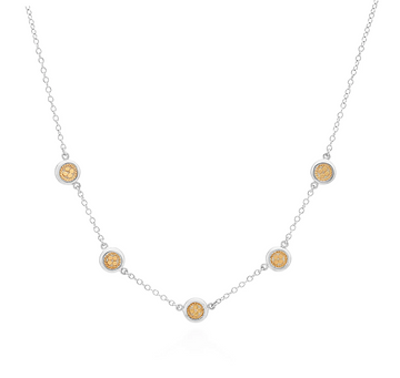 Two Tone Smooth Rim Collar Disc Necklace