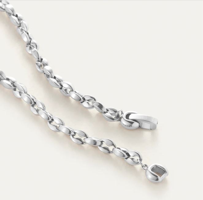 Jenny Bird Platinum Large Dhani Anklet