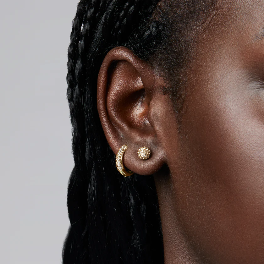 Hillberg And Berk Mini Rose Sparkle Ball Studs