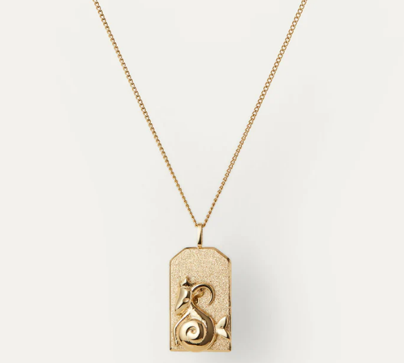 Jenny Bird Capricorn Zodiac Pendant Necklace