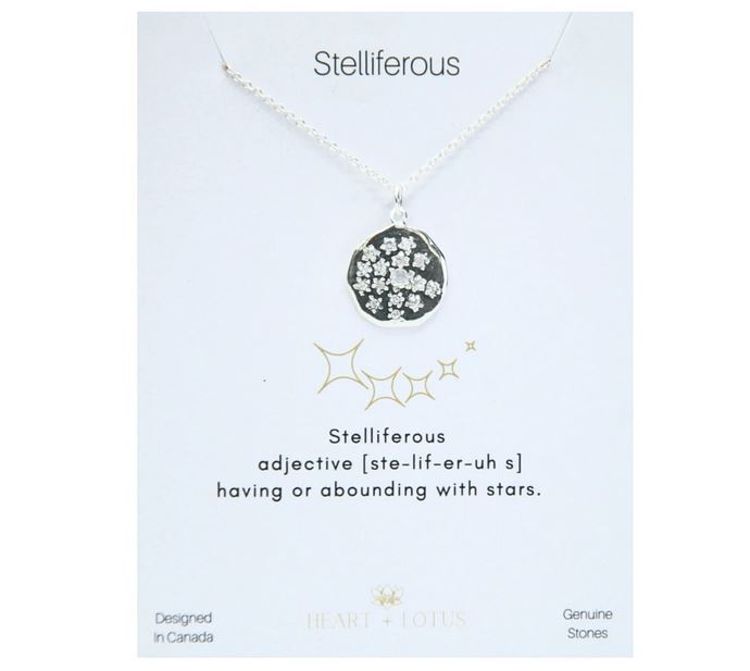 Heart And Lotus Silver Stelliferous Necklace