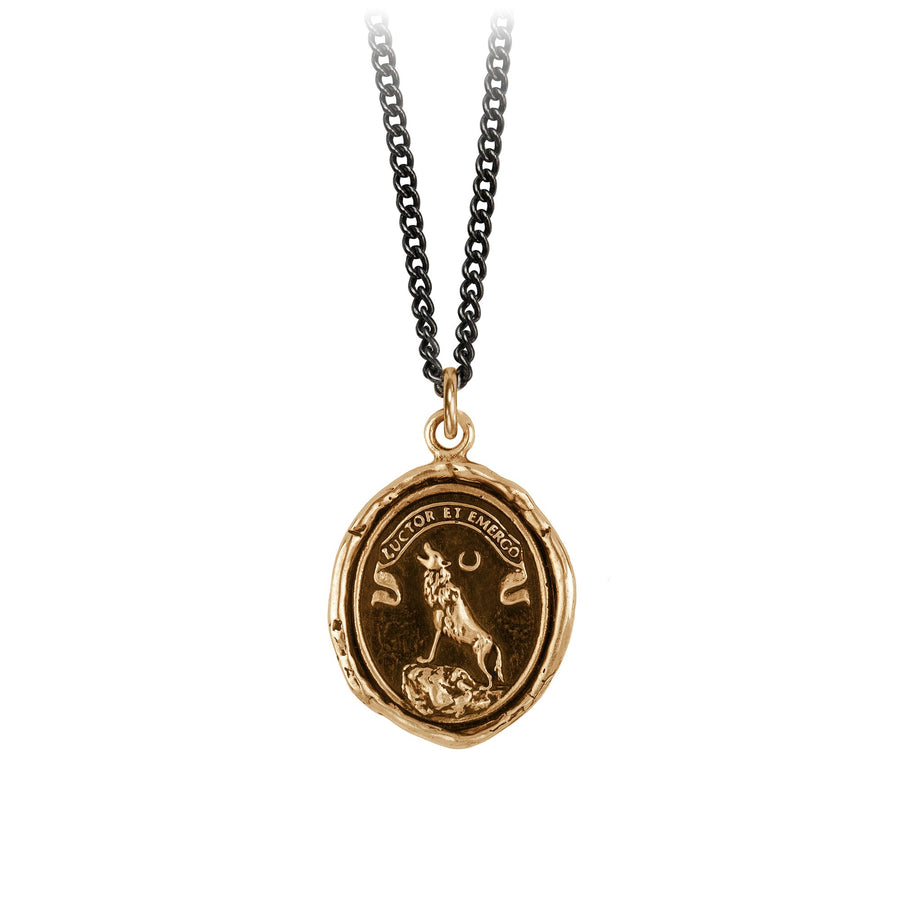 Pyrrha Bronze 'Struggle And Emerge' Necklace