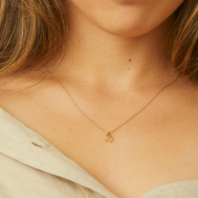 Dogeared Gold Wishbone Necklace