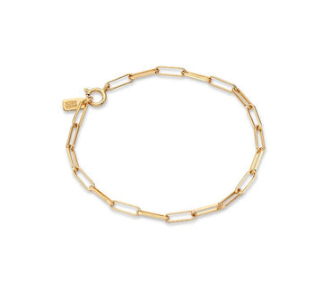 Anna Beck Gold Paperclip Link Chain Bracelet