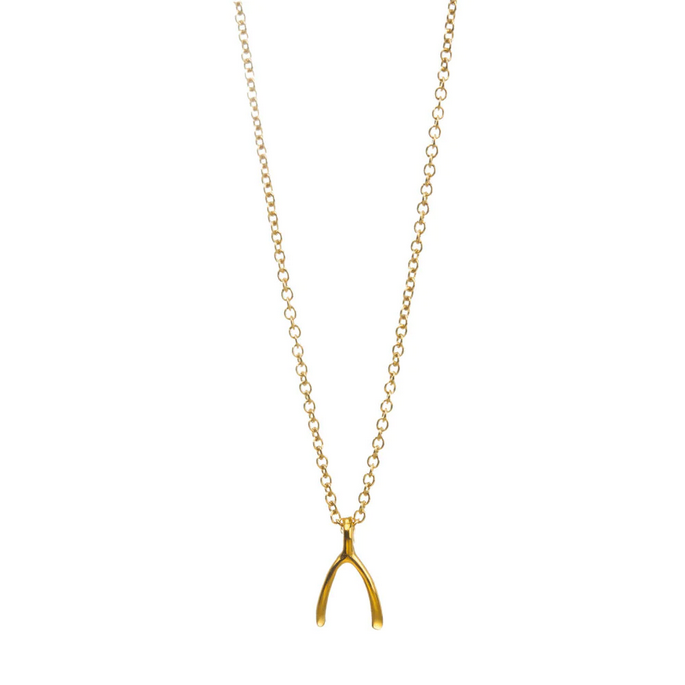 Dogeared Gold Wishbone Necklace