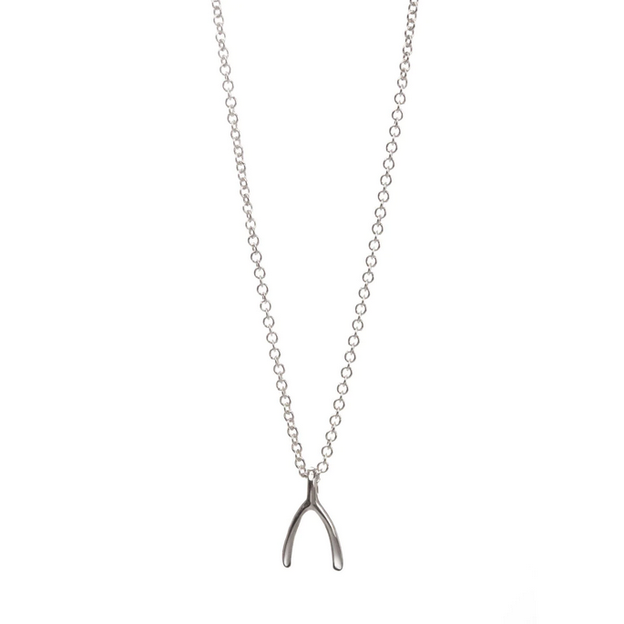 Dogeared Silver Wishbone Necklace