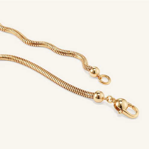Jenny Bird Gold 'Russo' Snake Chain Necklace